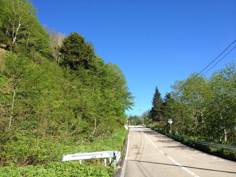 photo image