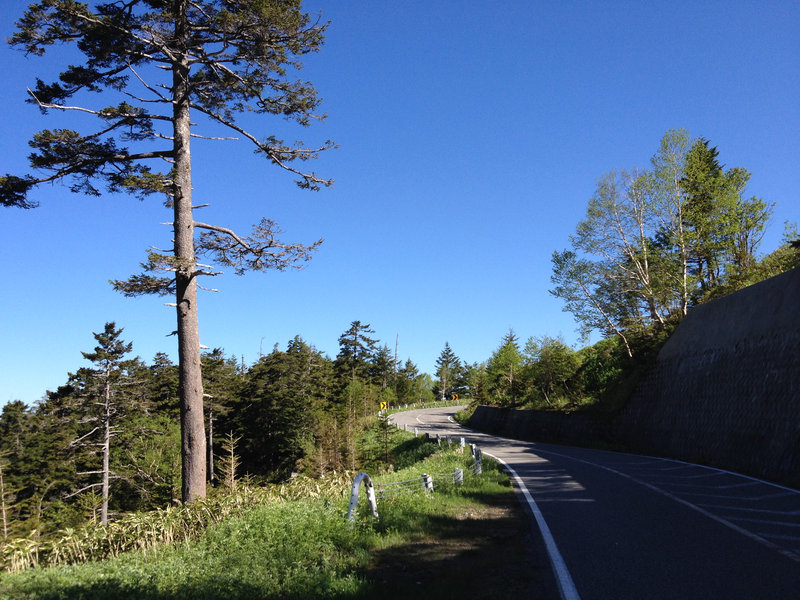 photo image