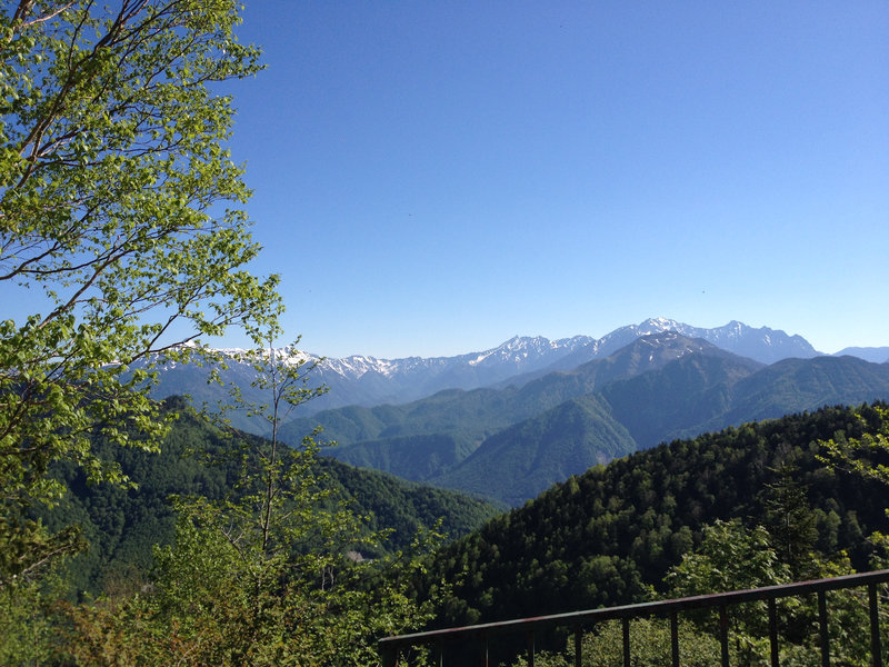 photo image