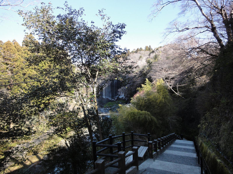 photo image