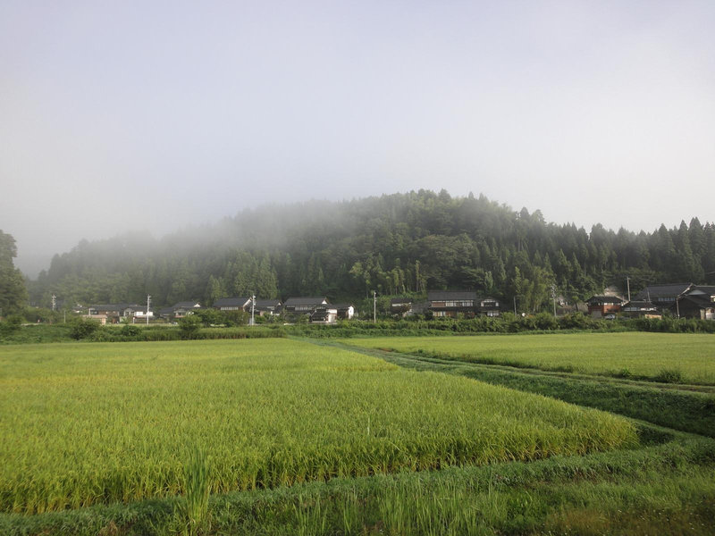 photo image