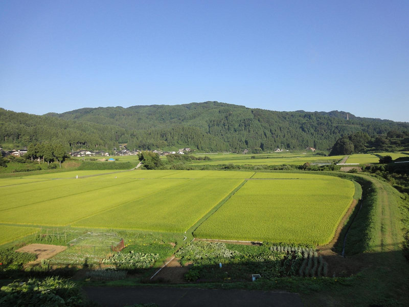 photo image