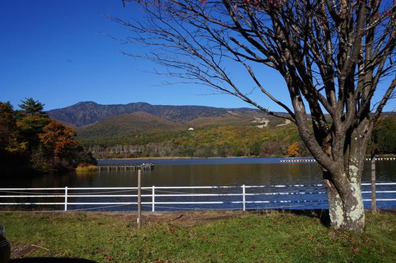 photo image