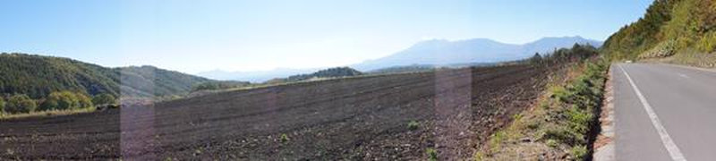 photo image