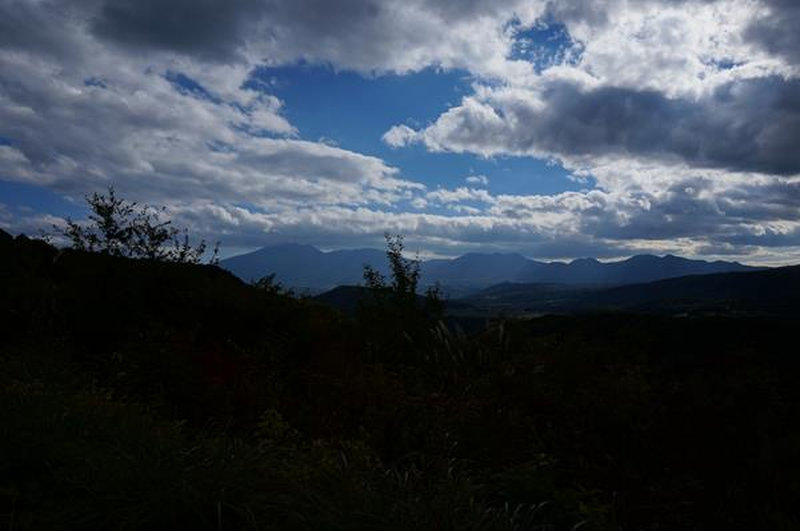 photo image