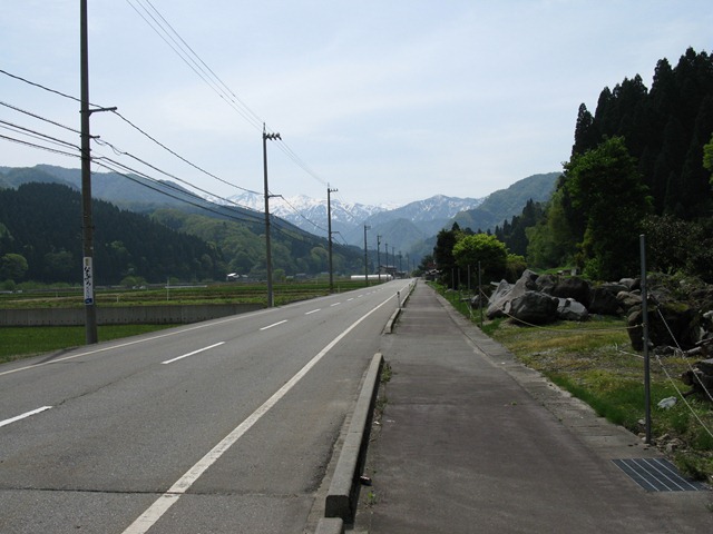 photo image