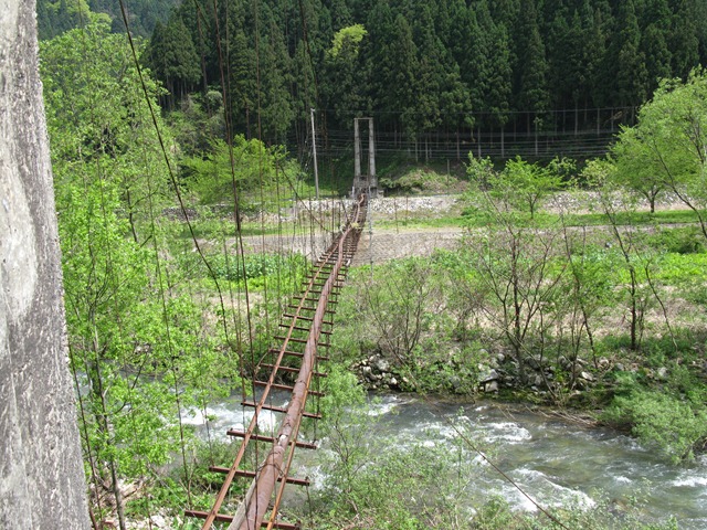 photo image