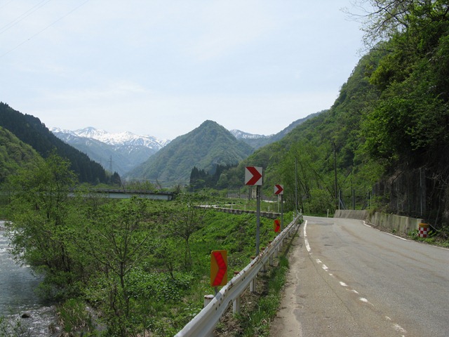 photo image