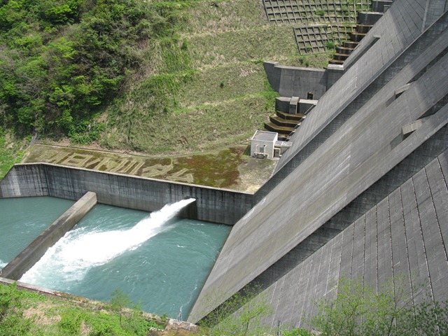 photo image