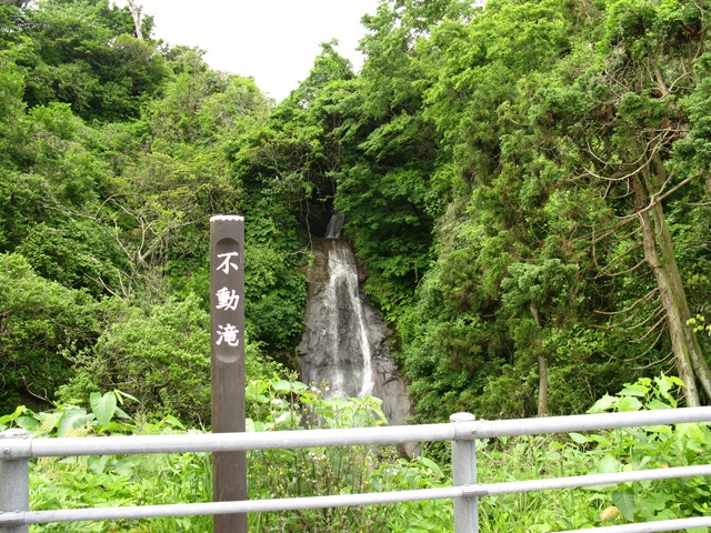 photo image