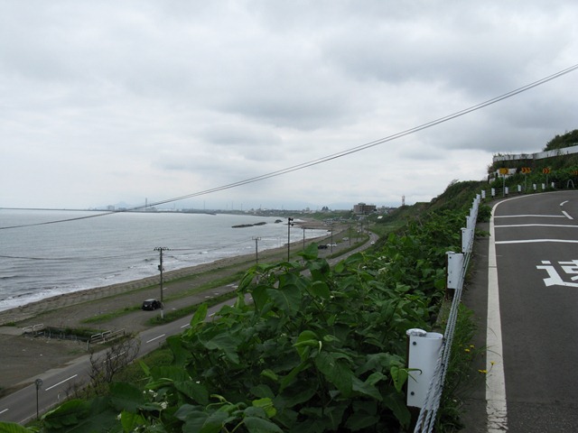 photo image