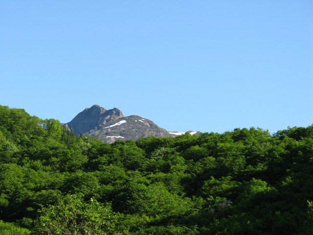photo image