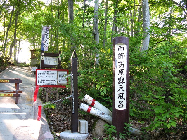 photo image