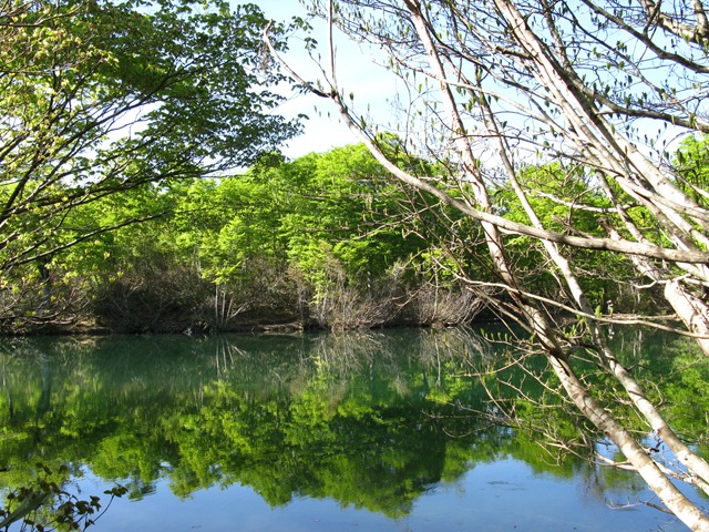 photo image