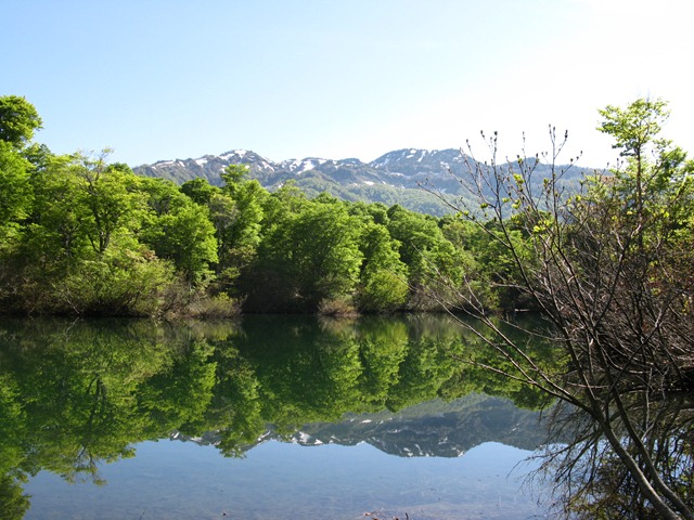 photo image