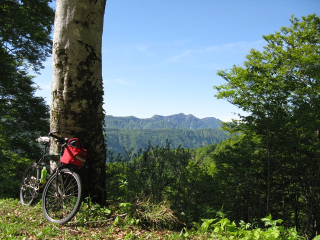 photo image