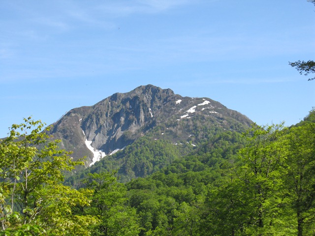 photo image