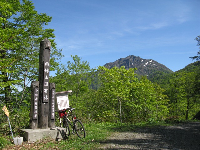 photo image
