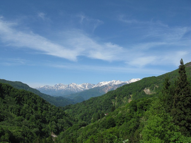 photo image