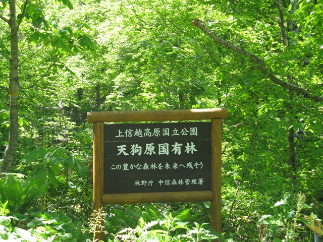 photo image