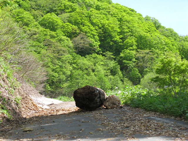 photo image
