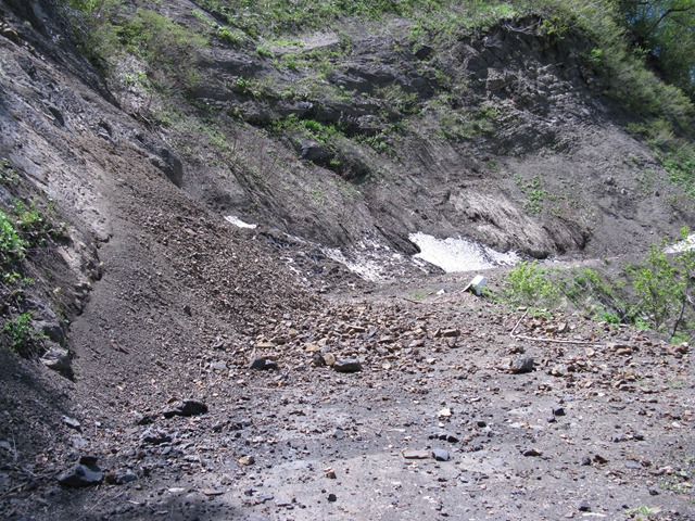 photo image