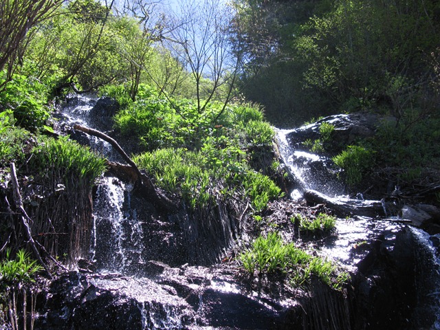 photo image