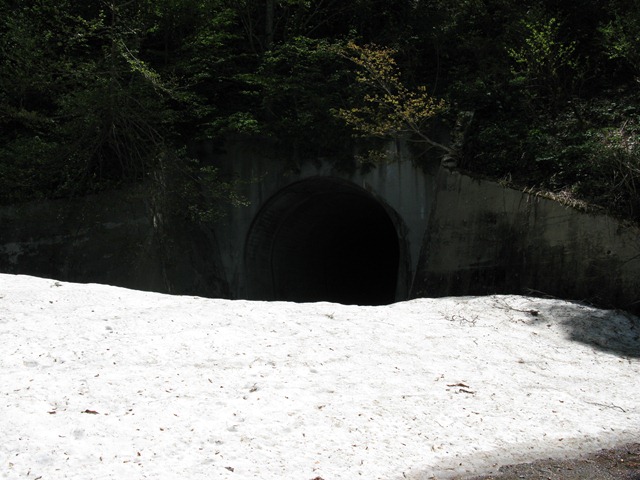 photo image