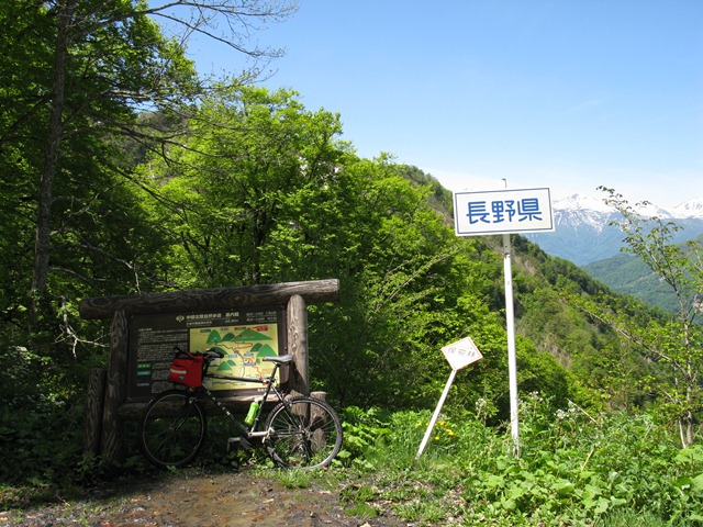 photo image