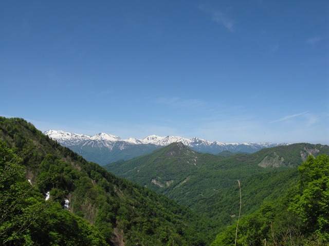 photo image
