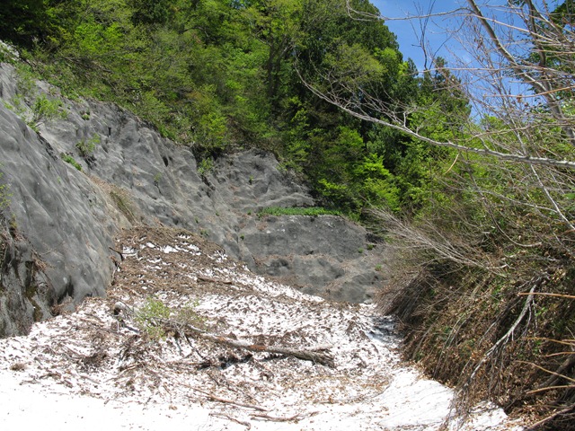 photo image