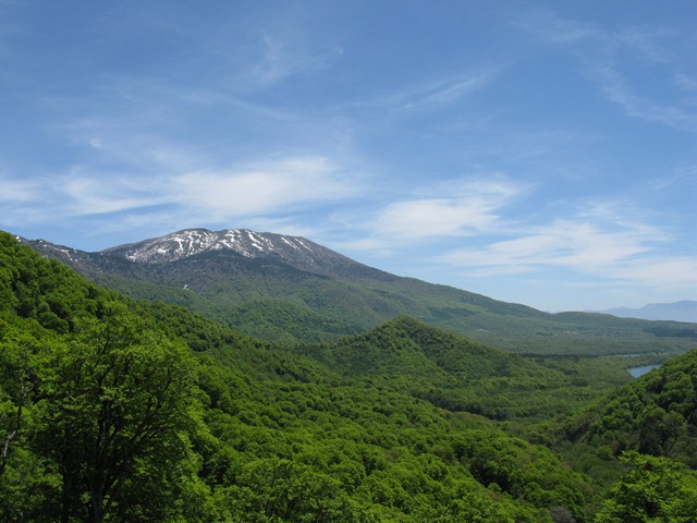 photo image