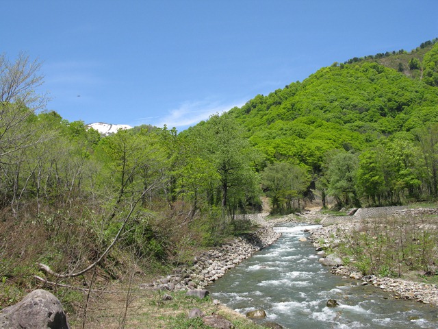 photo image