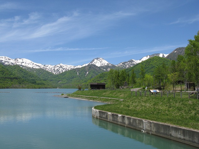 photo image