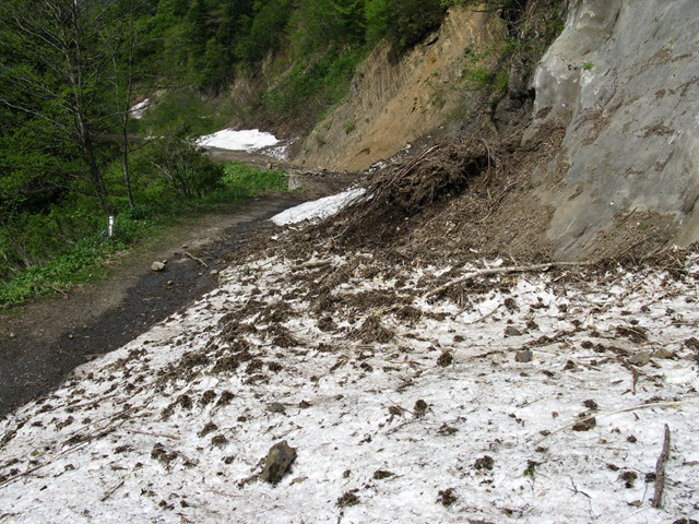 photo image