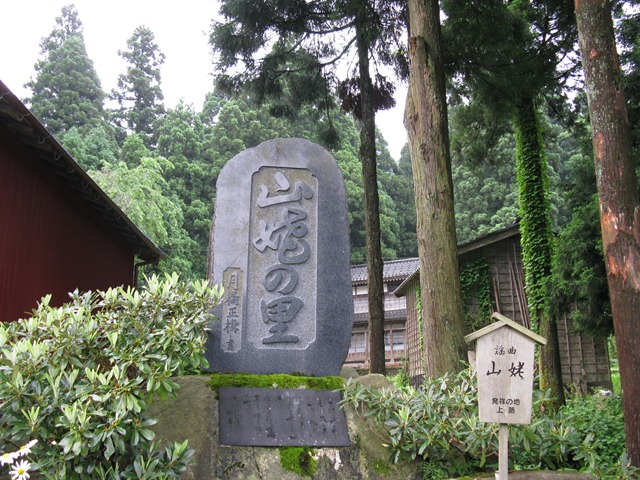 photo image