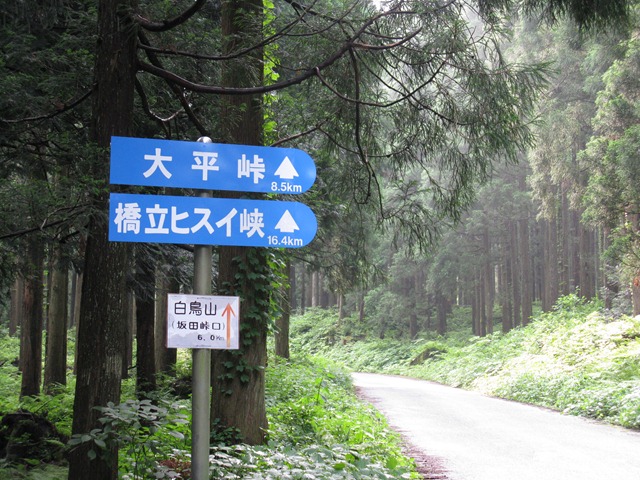 photo image
