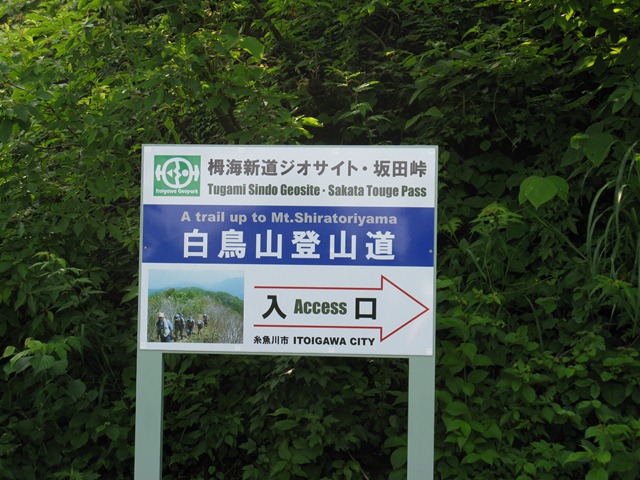 photo image