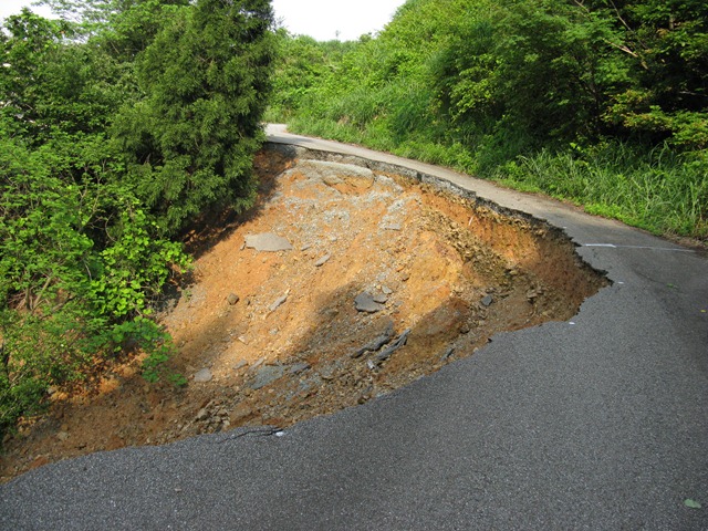 photo image