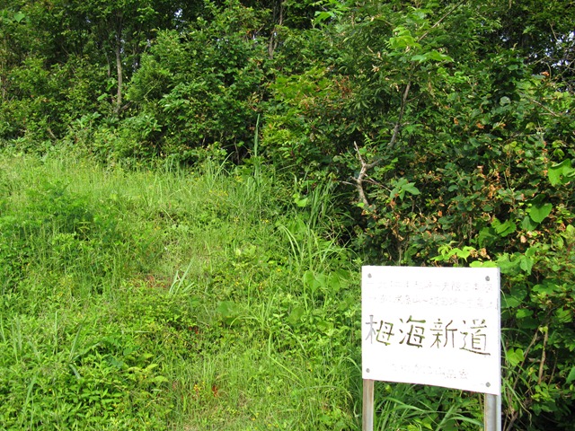 photo image