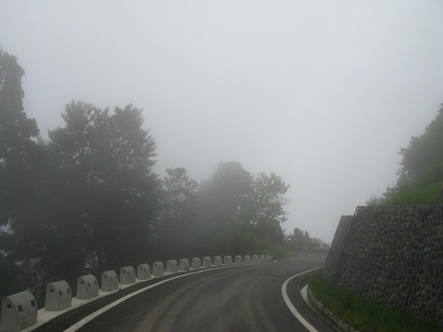 photo image
