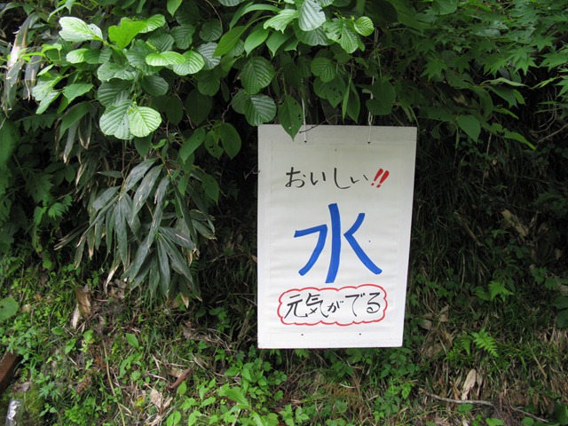 photo image