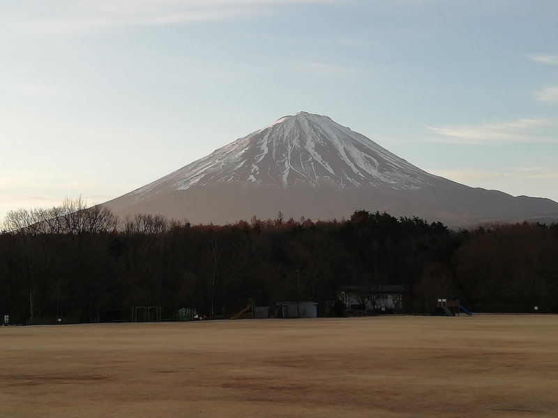 photo image