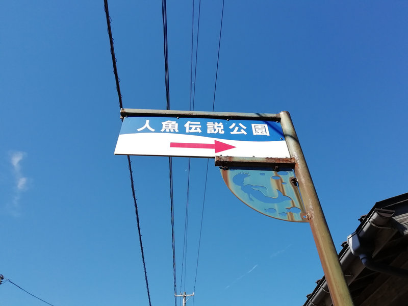 photo image