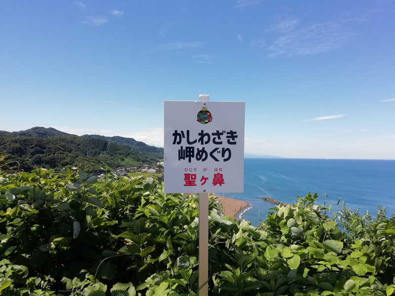 photo image