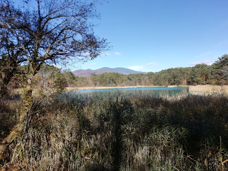 photo image