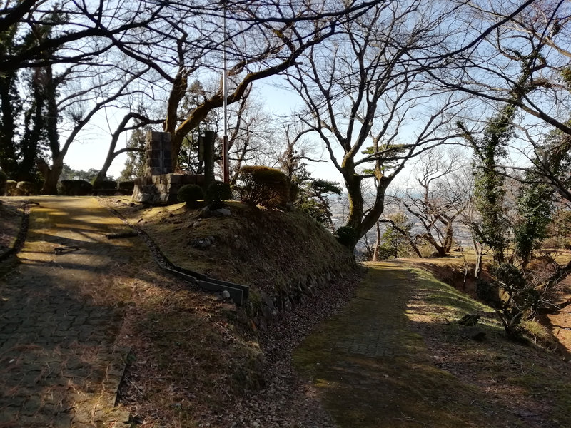 photo image