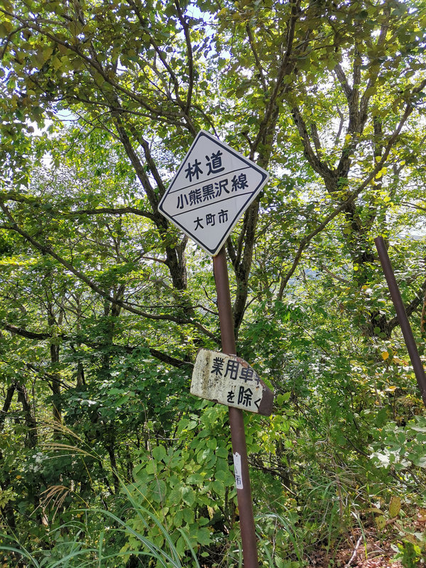 photo image