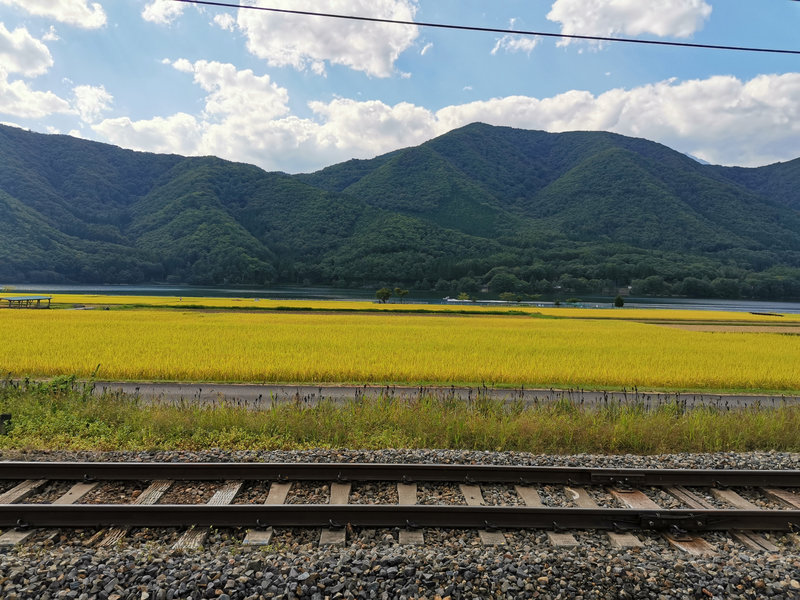 photo image