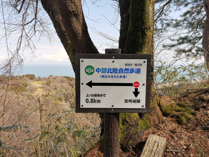 photo image